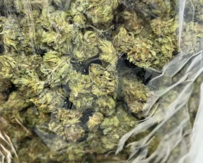 BANNER KUSH $49.99 OZ (HYBRID) - Image 4